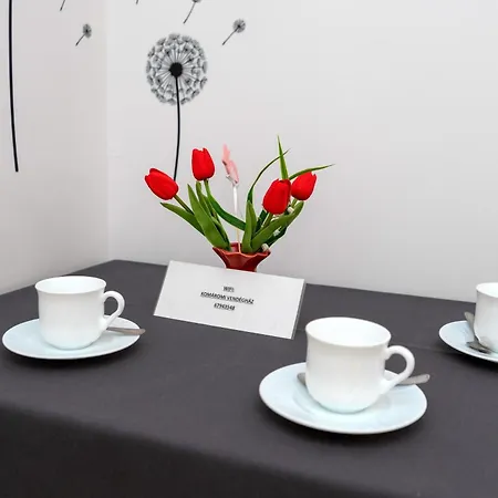 招待所 Komaromi Vendeghaz